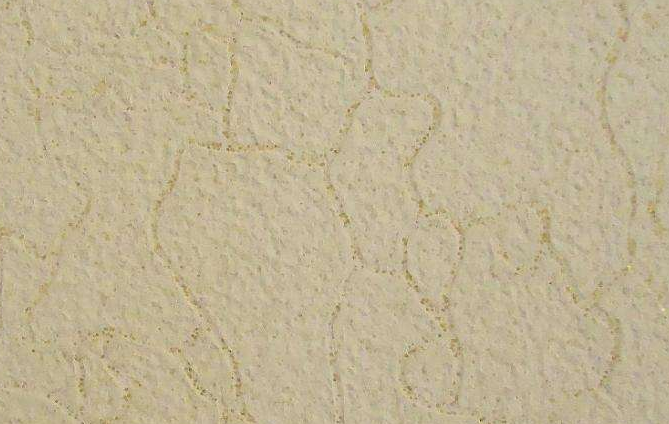 質感涂料應用范圍有哪些,又有哪些類型可以選擇?